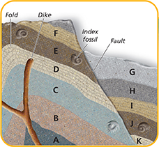A diagram of rock layers, complete with a fold, dike and a fault as well as fossils. The rock layers are labeled A-F on  the left side (starting at A on the bottom) and G-K on the right side (starting at the top with G).