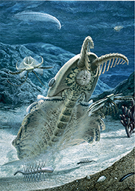 An artist drawing of what sea creatures would look like in the Paleozoic Era, at the beginning stages of evolution.
