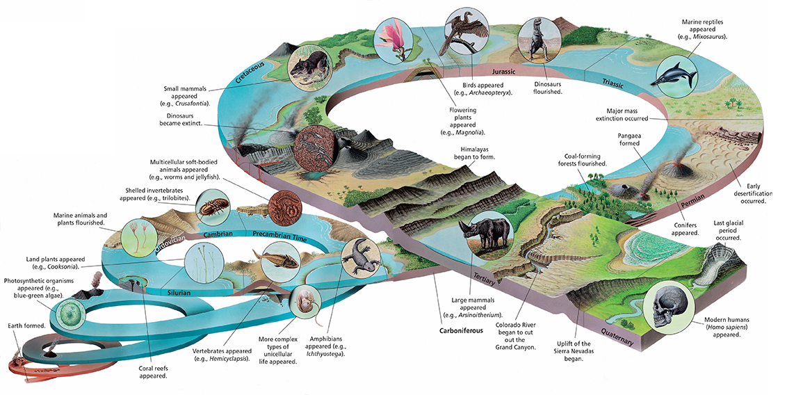 A spiral diagram (shaped like a coiled snake) showing the history of the Earth, and major things that happened during each era.