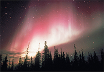 An aurora shining in a night sky over a tree line.