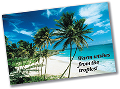 A post card of palm trees on a sandy beach.