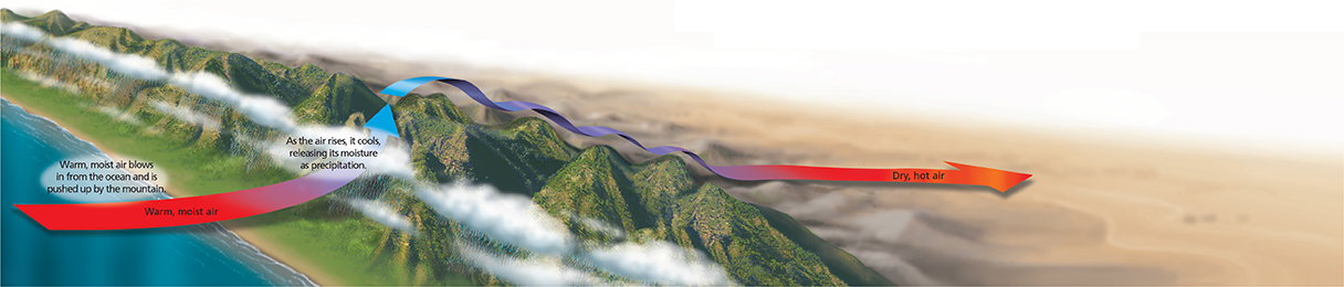 A mountain range behind a body of water. The diagram shows that a mountain range can be a barrier to the movement of humid air.  As warm, moist air is blown in from the ocean, it is pushed up by the mountain.  
As the air rises to go over the mountain , it cools, and releases precipitation.
