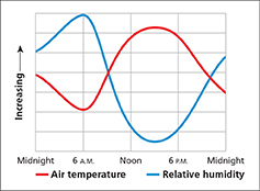 A line graph comparing air temperature and relative humidity depending on the time of day.
