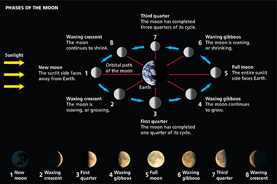 Diagram depicting the eight phases of the moon as it rotating around the Earth and as sunlight hits the moon.