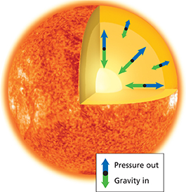 Diagram of the sun with cross section cut to show the balance of the inward pull of gravity and outward push of thermal pressure.
