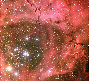 The bright stars in the center of the Rosette Nebula.