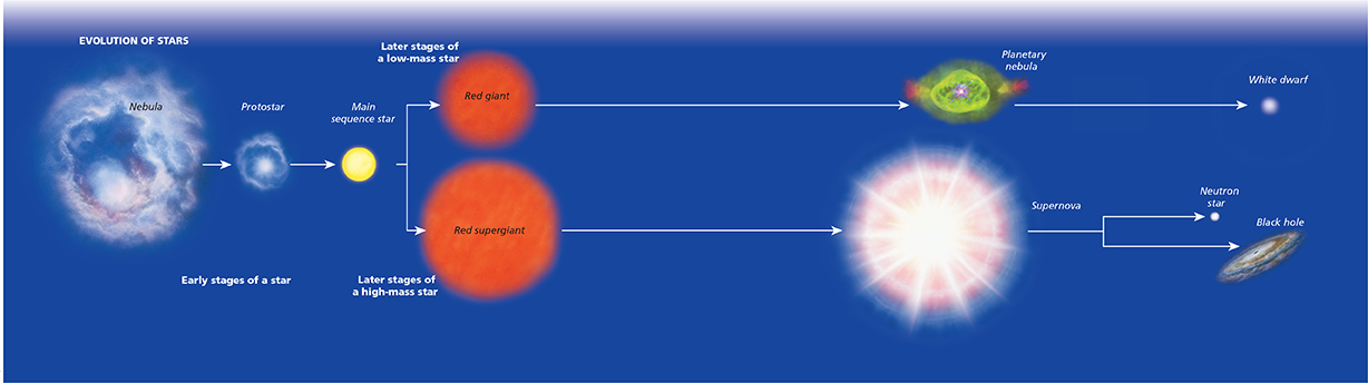 The diagram shows in detail the evolution of a star from beginning until its fuel runs out.  
