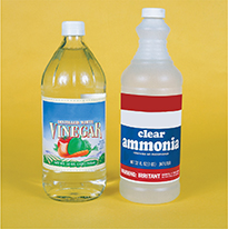 A glass bottle of vinegar and a plastic bottle of ammonia.