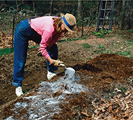 A gardener using a trowel to sprinkle a white substance over the ground.