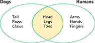 A Venn diagram comparing the characteristics of dogs versus humans. These characteristics are:
• Tail, Paws, Claws
• Head, Legs, Toes (common between dogs and humans)
• Arms, Hands, Fingers
