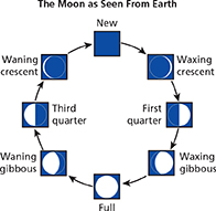 A cycle diagram of the moon as seen from earth.

The following labels are placed in a cyclic layout:
• New
• Waxing crescent
• First quarter
• Waxing gibbous
• Full
• Waning gibbous
• Third quarter
• Waning crescent
