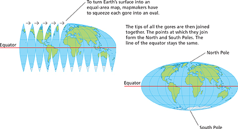 An equal area map.