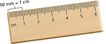 Photo of a metric ruler.