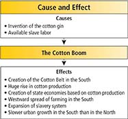 A box illustrating the causes and effects of the cotton boom.