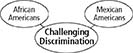 A concept web of 'Challenging Discrimination' having two sub circles named as African Americans and Mexican Americans.