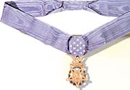 A photo of a medal of honor.