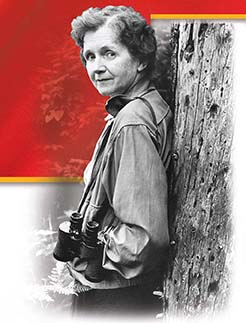 Writer Rachel Carson, who wrote the "Silent Spring" in 1962.