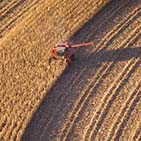 A photo of a farmer working the 
fields in a machine.