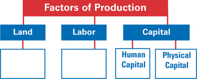 A tree map is of factors of production: land, labor, and capital. Capital has branches leading to two boxes: human capital and physical capital. Examples of land and labor are needed.
