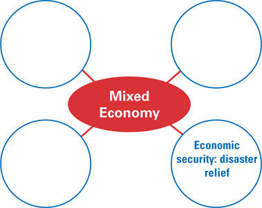 A diagram is of a mixed economy with four branches. Three are blank. The fourth reads, “economic security: disaster relief”.